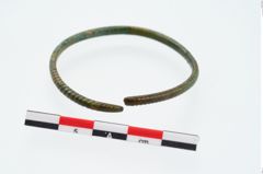 Foto von Bronzearmeif (NHMW-PRAE-026452)